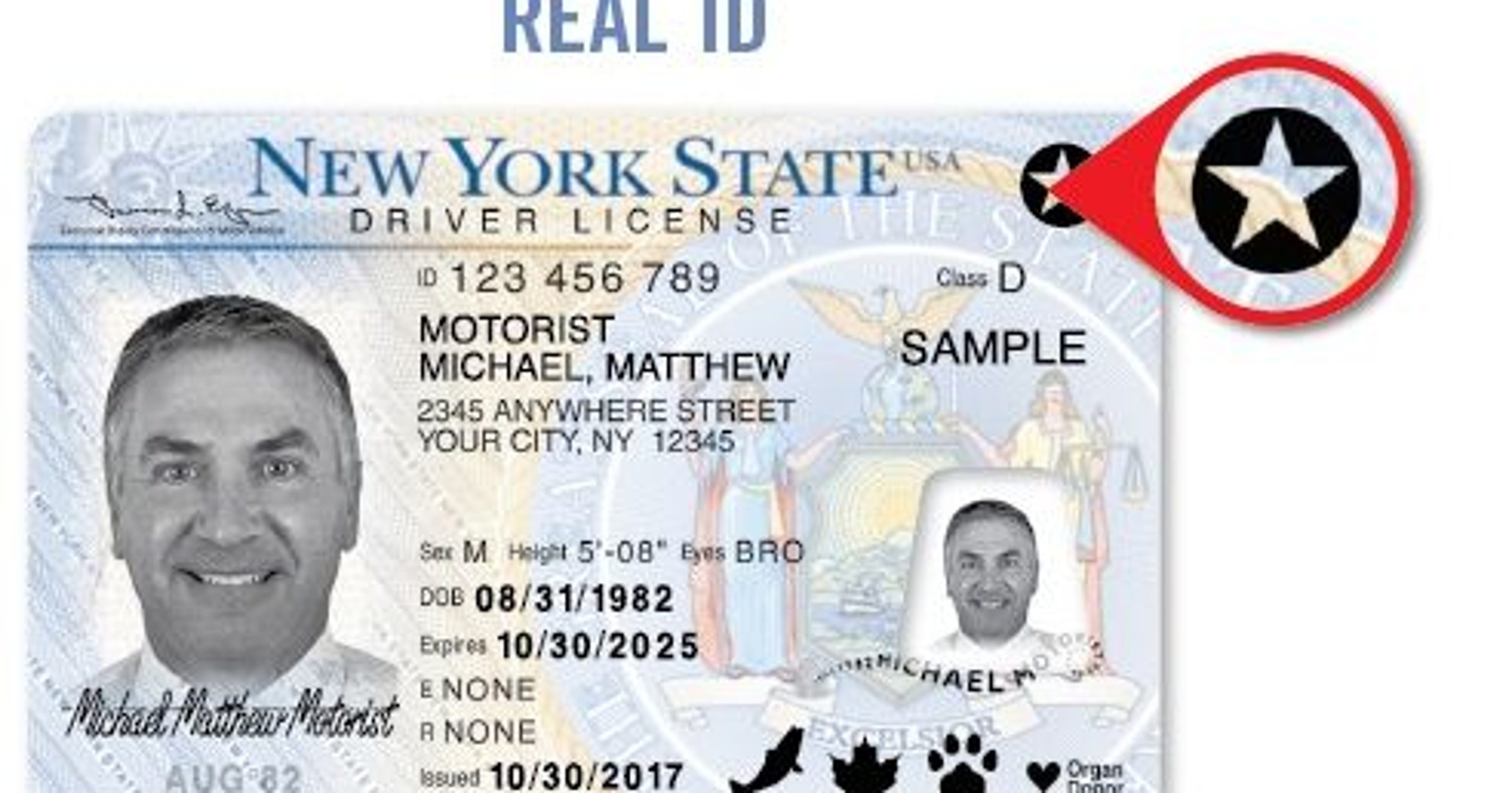 fake drivers license template pennsylvania