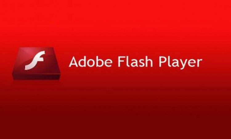 adobe flash download for pc